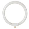 RESERVELAMP 12W/T4 VOOR DE VTLAMP8
