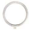 RESERVELAMP 12W/T4 VOOR DE VTLAMP10