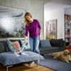 Accu-stofzuiger Regulus PowerVac 2in1