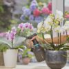 Plantenspuit 1 l EasyPump