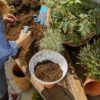ClickUp! Plantenbak