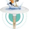 ClickUp! BirdBath