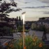 ClickUp! SolarLamp