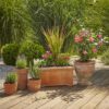 Startset bloempotten M