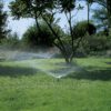 Pop-up Sprinkler S 50