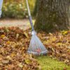 NatureLine Verstelbare Bladhark
