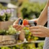 city gardening Balkon Broes