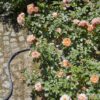 Textielslang Liano™ 15 m