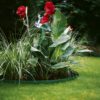 Gazonranden (Groen)