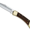 Buck 110 Folding Hunter