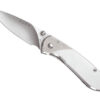 Buck Nobleman Stainless
