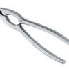 Due Cigni Notenkraker 16.7cm